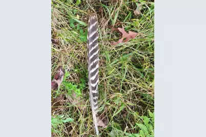 4869 E Free Soil Road, Free Soil, MI 49411 - Photo 19