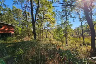 13333 Trinkle Rd, Chelsea, MI 48118 - Photo 11