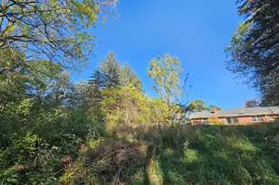 13333 Trinkle Rd, Chelsea, MI 48118 - Photo 5