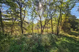 13333 Trinkle Rd, Chelsea, MI 48118 - Photo 13