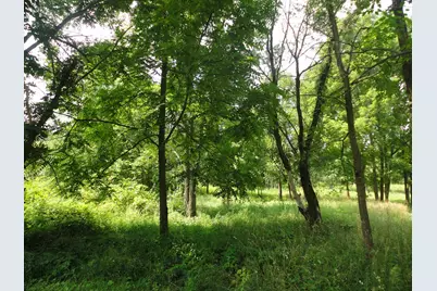 Parcel B Cr 215, Grand Junction, MI 49056 - Photo 1