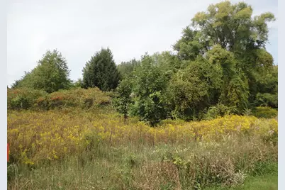 Parcel B Cr 215, Grand Junction, MI 49056 - Photo 19