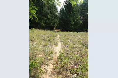 Parcel B Cr 215, Grand Junction, MI 49056 - Photo 11