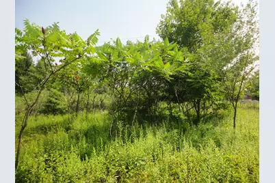 Parcel B Cr 215, Grand Junction, MI 49056 - Photo 15