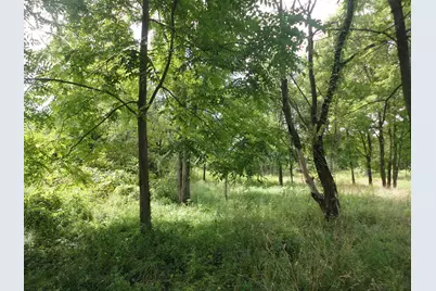 Parcel B Cr 215, Grand Junction, MI 49056 - Photo 3