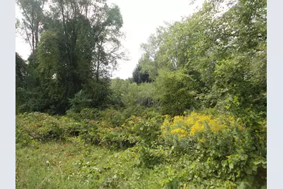 Parcel B Cr 215, Grand Junction, MI 49056 - Photo 17