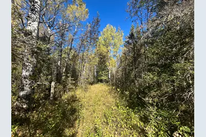 9964 E M 48, Goetzville, MI 49736 - Photo 77