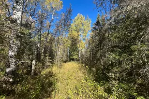 9964 E M 48, Goetzville, MI 49736 - Photo 77