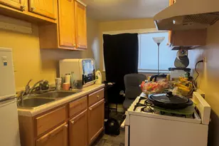 513 Crescent St NE, Grand Rapids, MI 49503 - Photo 9