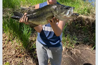 10652 Nugent Avenue NE, Rockford, MI 49341 - Photo 5