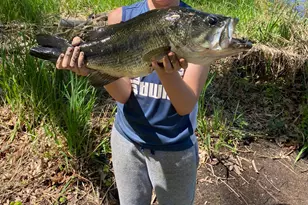 10652 Nugent Ave NE, Rockford, MI 49341 - Photo 5