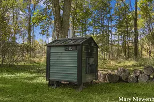 10652 Nugent Ave NE, Rockford, MI 49341 - Photo 43