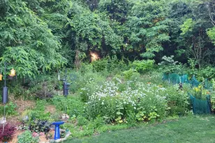 147 Station Hill St, Galesburg, MI 49053 - Photo 69