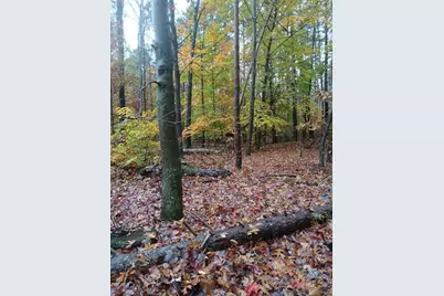 E Charles Road, Ionia, MI 48846 - Photo 17