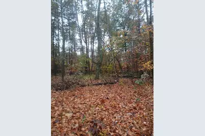 E Charles Road, Ionia, MI 48846 - Photo 15