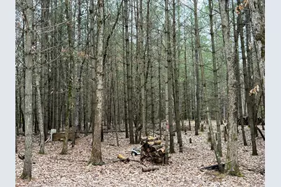 N Cherry Lane, Free Soil, MI 49411 - Photo 5