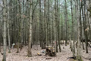 N Cherry Ln, Free Soil, MI 49411 - Photo 5