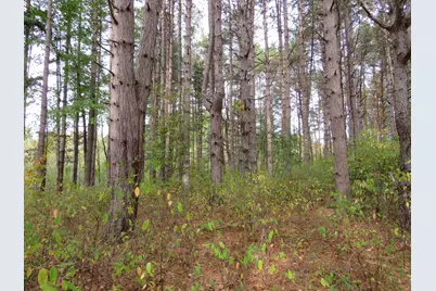 Vl 17 Mile Road, Marion, MI 49665 - Photo 17