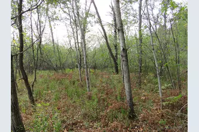 Vl 17 Mile Road, Marion, MI 49665 - Photo 23