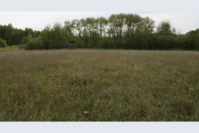 Vl 17 Mile Road, Marion, MI 49665 - Photo 7