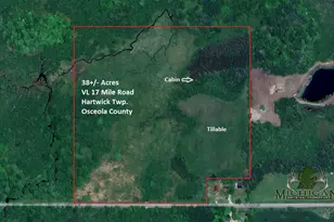 Vl 17 Mile Rd, Marion, MI 49665 - Photo 1