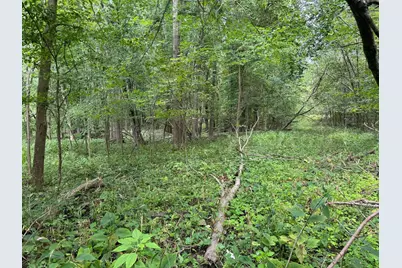 Pawnee Trail, Evart, MI 49631 - Photo 13