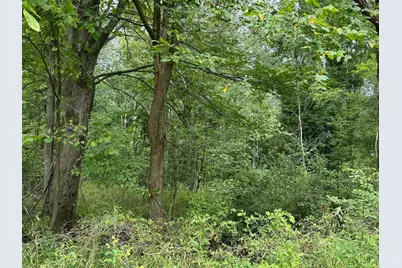 Pawnee Trail, Evart, MI 49631 - Photo 5