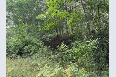 Pawnee Trail, Evart, MI 49631 - Photo 7