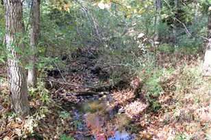 1425 Stout Rd Rd, Hawes, MI 48705 - Photo 57