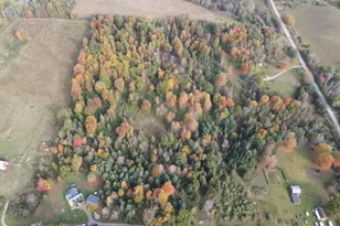 1425 Stout Rd Rd, Hawes, MI 48705 - Photo 13