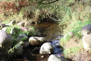 1425 Stout Rd Rd, Hawes, MI 48705 - Photo 59