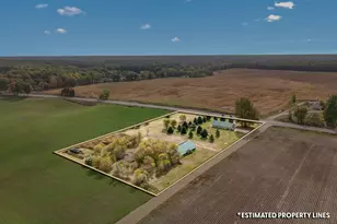 10149 Dennings Rd, Jonesville, MI 49250 - Photo 51