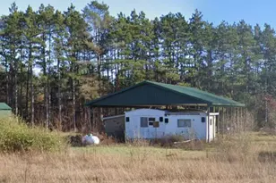 5919 W 112th St St, Grant, MI 49327 - Photo 5