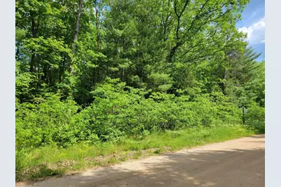 Lots 1-9 Cranberry Street, Wellston, MI 49689 - Photo 15