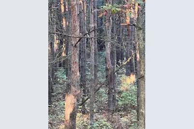 3498 Lindeman Road, Manistee, MI 49660 - Photo 57