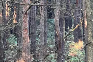 3498 Lindeman Rd, Manistee, MI 49660 - Photo 57