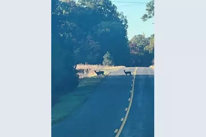 3498 Lindeman Road, Manistee, MI 49660 - Photo 61