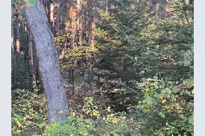 3498 Lindeman Road, Manistee, MI 49660 - Photo 59