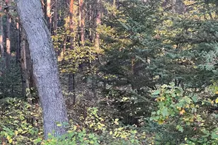 3498 Lindeman Rd, Manistee, MI 49660 - Photo 59