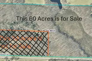 E Madison Rd, Walkerville, MI 49459 - Photo 1