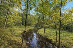 5265 Huck Dr, Sheridan, MI 48884 - Photo 3