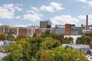 921 E Huron St, Ann Arbor, MI 48104 - Photo 21