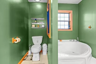 1114 E Station Rd, Sheridan, MI 48884 - Photo 19