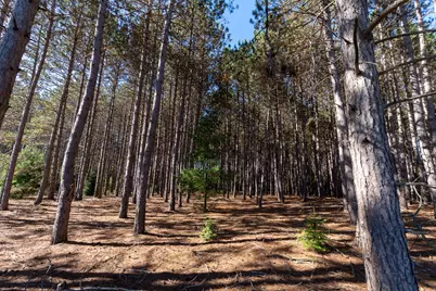 7200 E 46 Road, Cadillac, MI 49601 - Photo 61