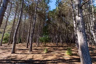 7200 E 46 Rd, Cadillac, MI 49601 - Photo 61