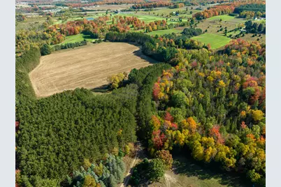 7200 E 46 Road, Cadillac, MI 49601 - Photo 3