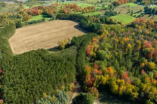 7200 E 46 Rd, Cadillac, MI 49601 - Photo 3