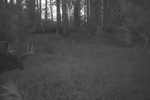 7200 E 46 Rd, Cadillac, MI 49601 - Photo 11