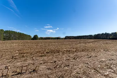 7200 E 46 Road, Cadillac, MI 49601 - Photo 55