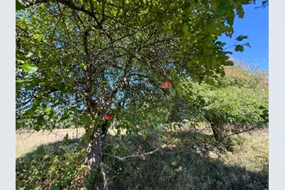 7200 E 46 Road, Cadillac, MI 49601 - Photo 35